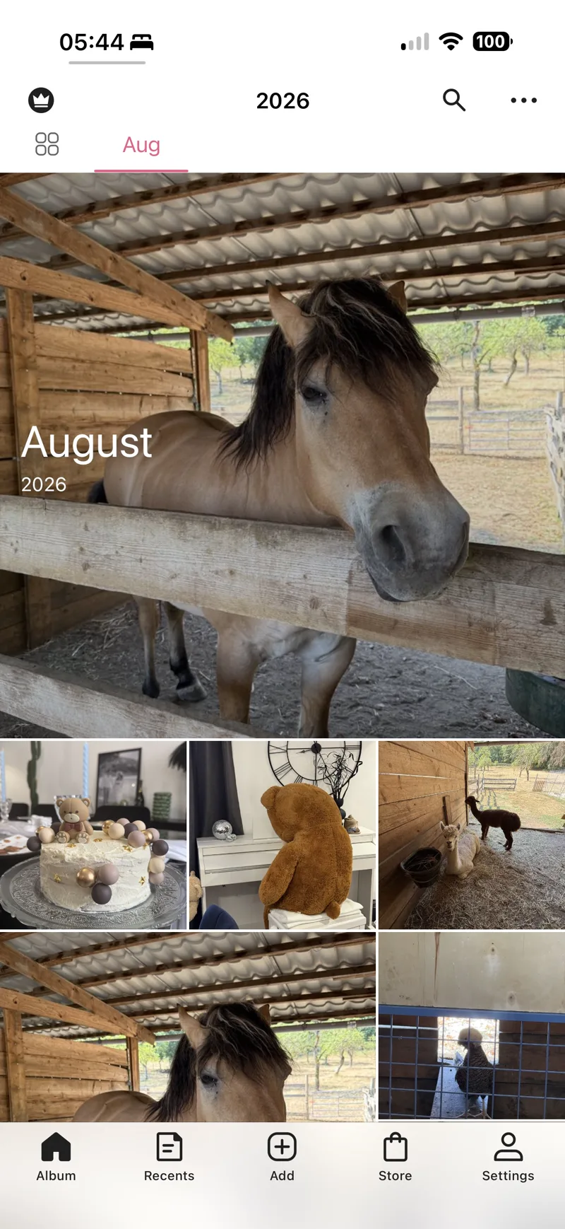 Chronologie de photos de famille dans l'application PrivateFamily : cheval, alpagas, gâteau d'anniversaire et peluche.